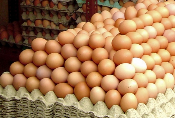 Ouă cu salmonela în judeţul Covasna