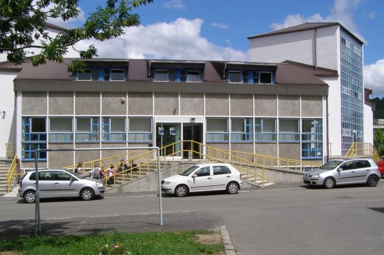 Concert de caritate pentru copiii aflaţi în îngrijirea Fundaţiei Alpha Transilvană