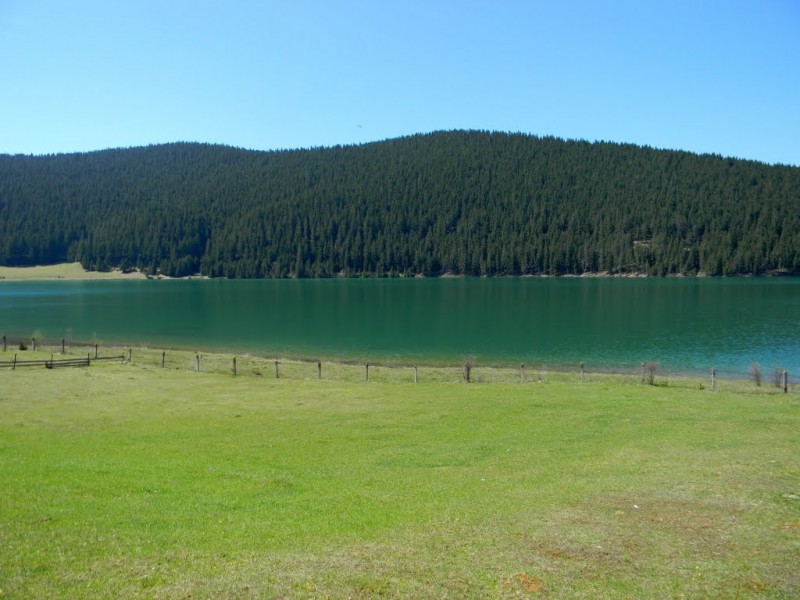 Împădurire în zona de protecţie a Lacului de acumulare Frumoasa Împădurire în zona de protecţie a Lacului de acumulare Frumoasa