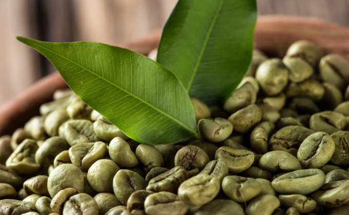 Cafeaua verde, vedetă la Târgul Gastropan 2016 Cafeaua verde, vedetă la Târgul Gastropan 2016