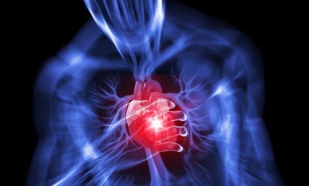 Aterotromboza, principala cauză a bolilor cardiovasculare, este cea mai frecventă boală a lumii moderne