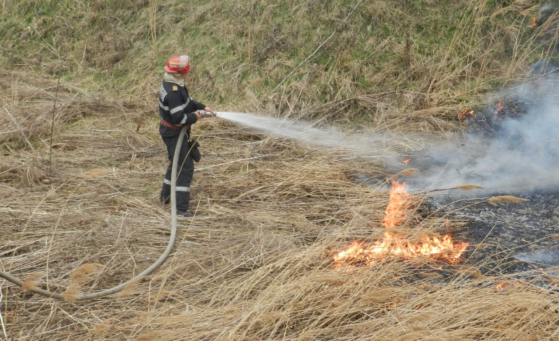 Pompierii mureșeni intervin la două incendii de vegetație uscată