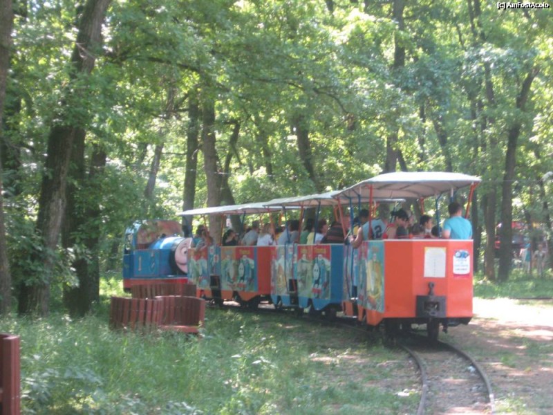 Trenuleţul copiilor va circula din 29 mai la Tîrgu-Mureş