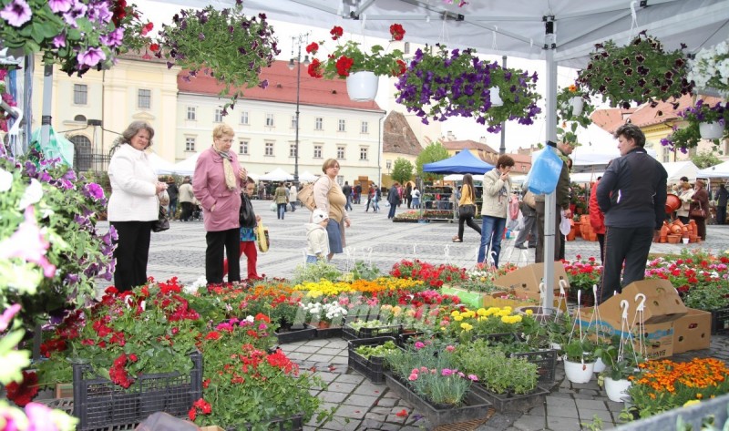 În Piaţa Mare din Sibiu se deschide o nouă ediţie a Festivalului Grădinilor