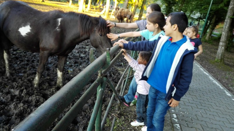 Sute de vizitatori aseară la Noaptea Animalelor de la Zoo Tg Mureș