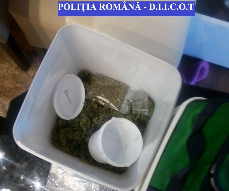 Percheziții la traficanți și consumatori de droguri din județele Mureș și Cluj