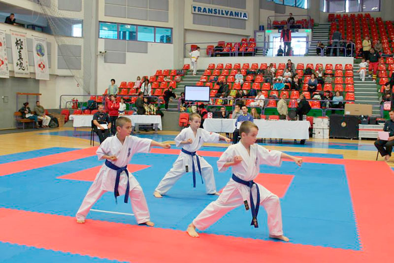 Sibiul va găzdui Campionatul Național de karate kyokushinkai