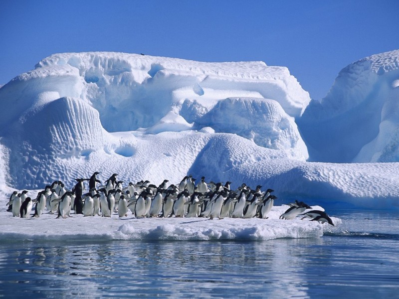 Nivelurile de dioxid de carbon din Antarctica au atins un maxim istoric al ultimilor patru sute de milioane de ani