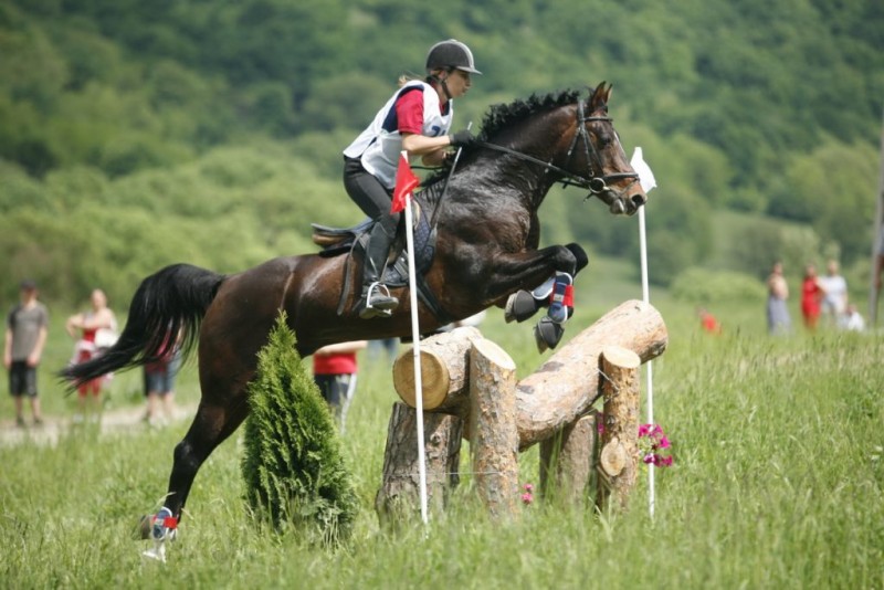 Transylvania Horse Show, un nou regal ecvestru la Prod