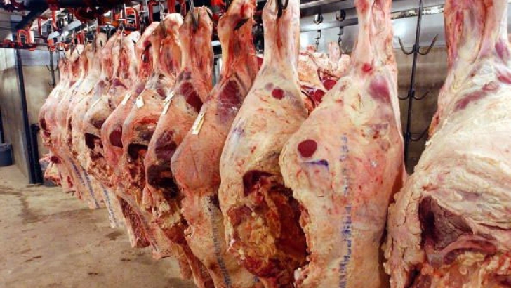 Două tone de carne stricată găsită într-un abator din jud.Brașov