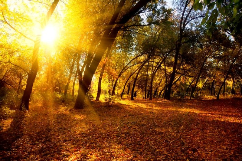 Temperaturi peste medie în septembrie și octombrie