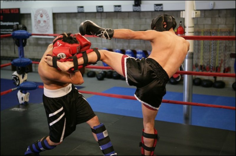 Regal de kickbox la Tg. Mureș