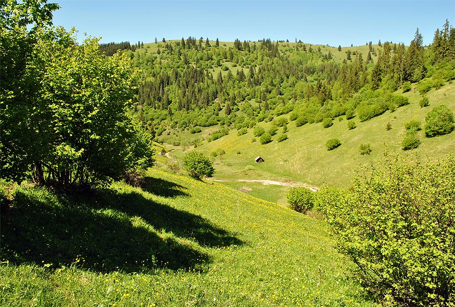 Salvamontiştii harghiteni au realizat harta munţilor Ciucului Salvamontiştii harghiteni au realizat harta munţilor Ciucului