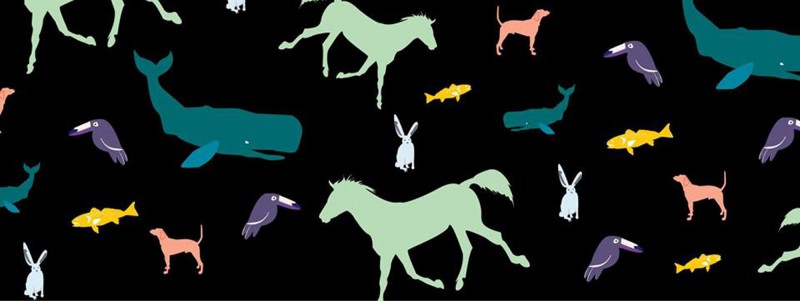 DOCUANIMAL -un spectacol despre conviețuirea oamenilor cu animalele