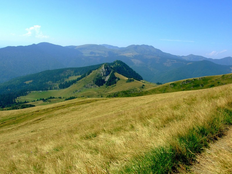 50 de sfaturi de Ziua Mediului pentru a ne proteja planeta