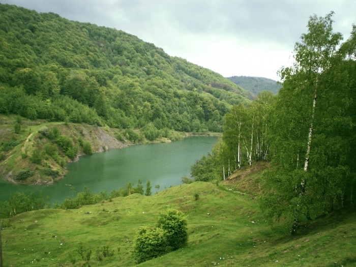Pârâul Tărlung din jud. Brașov va fi ecologizat