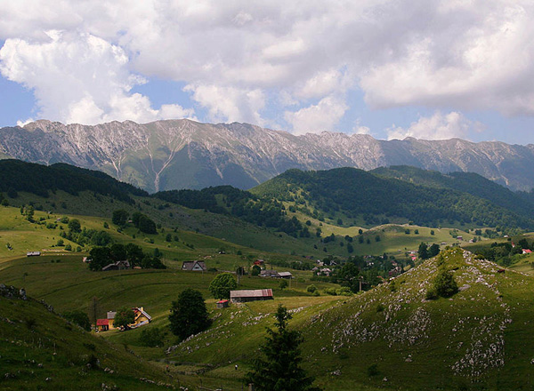 Fiii Satului Șirnea