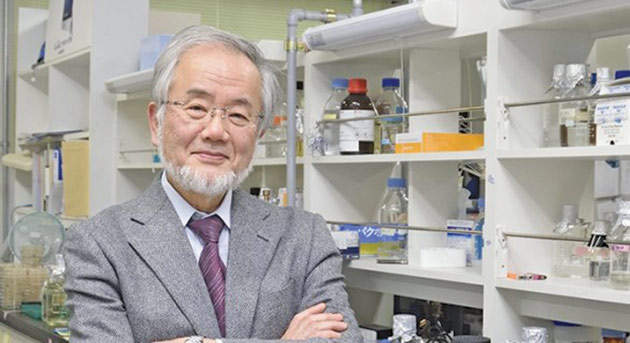 Premiul Nobel 2016 pentru medicină a fost acordat biologului japonez Ohsumi