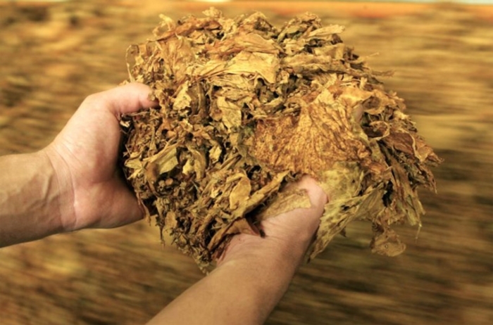 Peste 500 de kg de tutun confiscate de polițiștii mureșeni