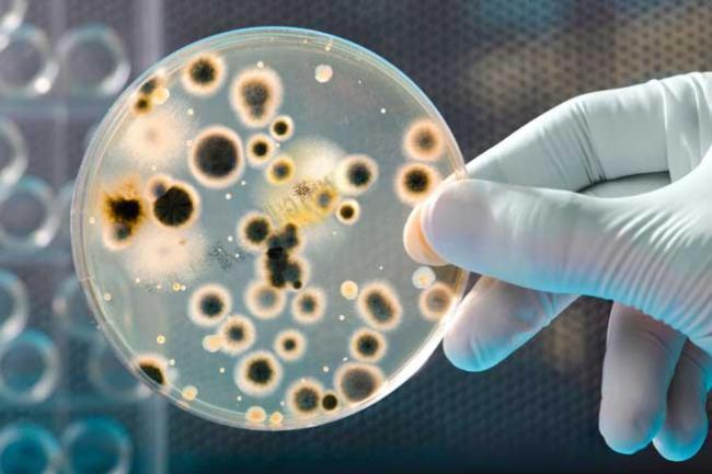 Rezistența bacteriilor la antibiotice reprezintă un pericol la nivel mondial Rezistența bacteriilor la antibiotice reprezintă un pericol la nivel mondial
