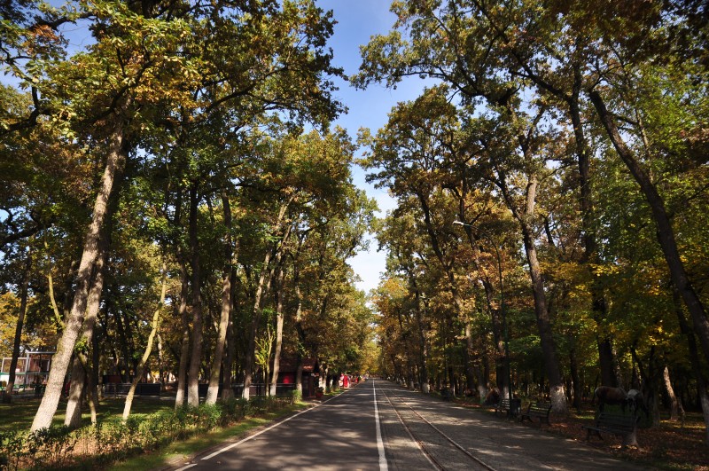 Primăria Tg. Mureș amendată, din nou, pentru Platoul Cornești