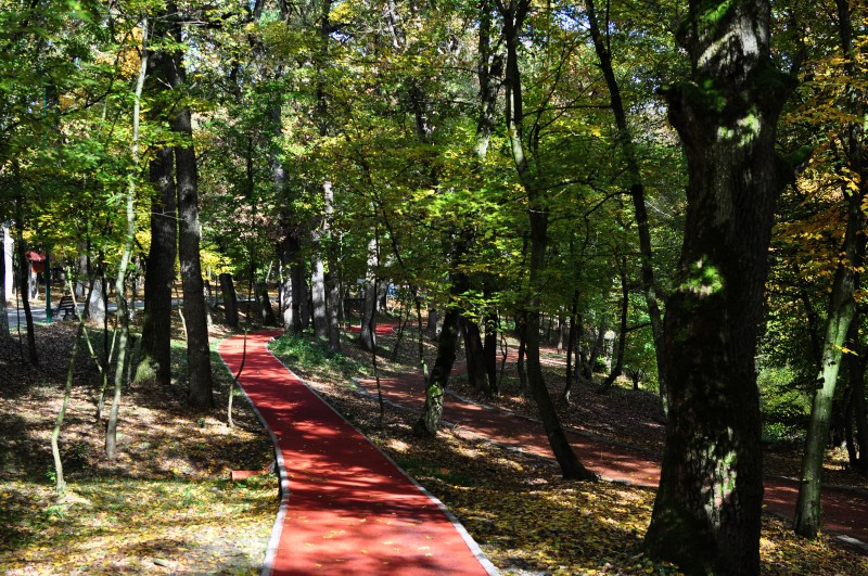 Noutăți pentru vizitatorii Platoului Cornești, din Tîrgu-Mureș
