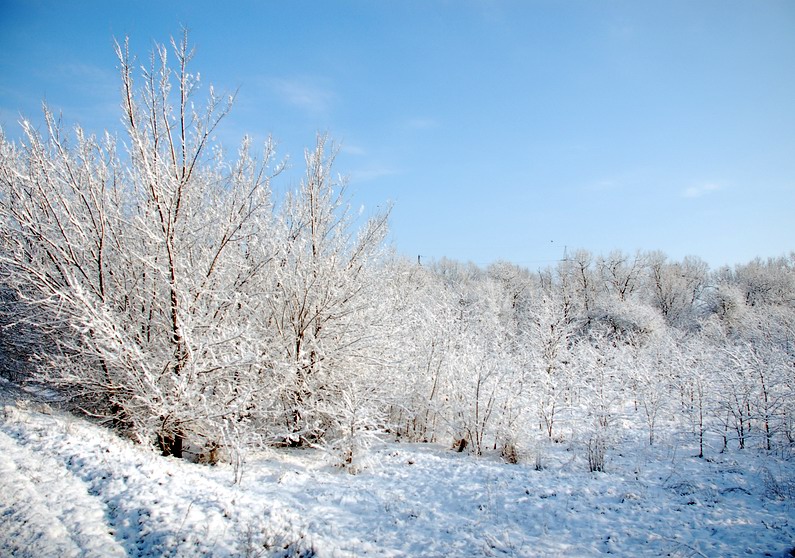 Nu mai ninge în Covasna