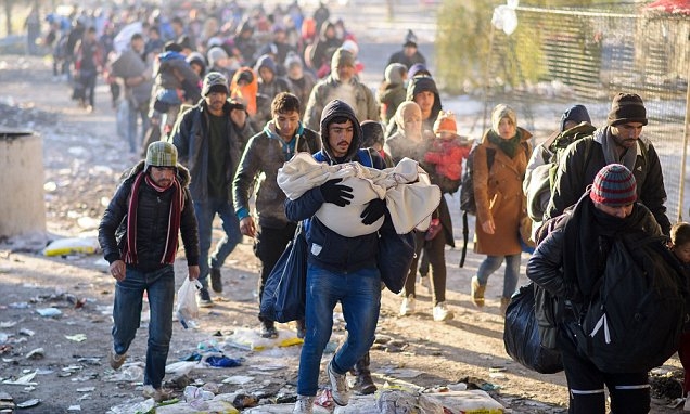 Migranţi prinşi la frontierele României