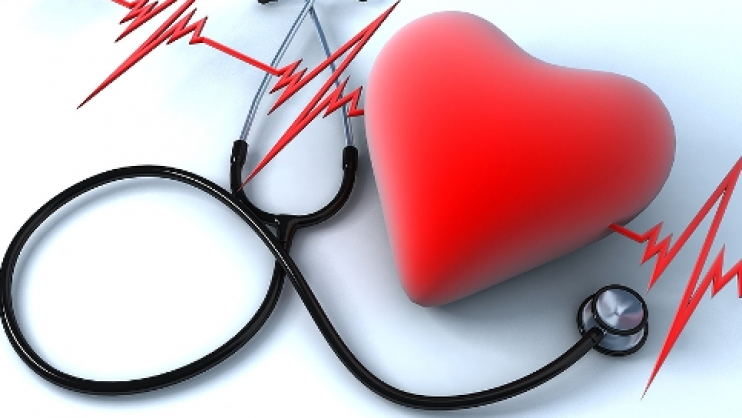 Proiect de cercetare pentru dezvoltarea unor biomateriale pentru regenerarea valvelor cardiace, la UMF Tîrgu Mureş