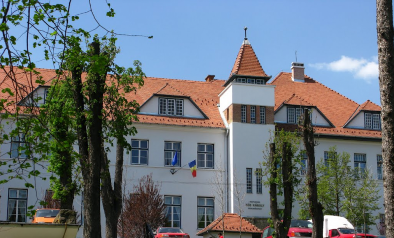 Reorganizarea reţelei şcolare din Sfântu Gheorghe Reorganizarea reţelei şcolare din Sfântu Gheorghe