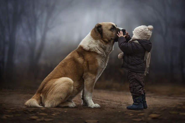 Copiii preferă animalele de companie în locul fraţilor sau surorilor lor Copiii preferă animalele de companie în locul fraţilor sau surorilor lor