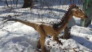 dino parc rasnov1