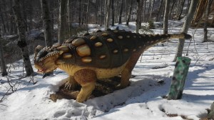 dino parc rasnov