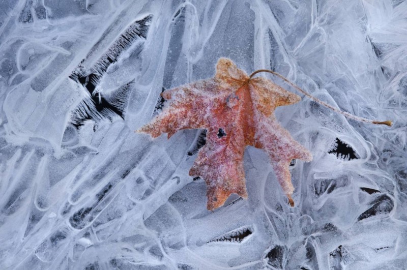 La Miercurea Ciuc s-au înregistrat minus 12 grade Celsius