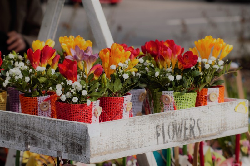 Sântana de Mureș se pregătește de ”Sărbătoarea florilor”