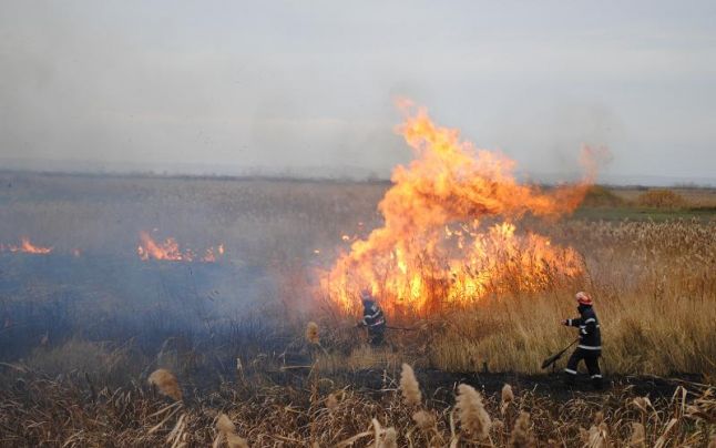 ISU Mureş propune interzicerea incendierii miriştilor