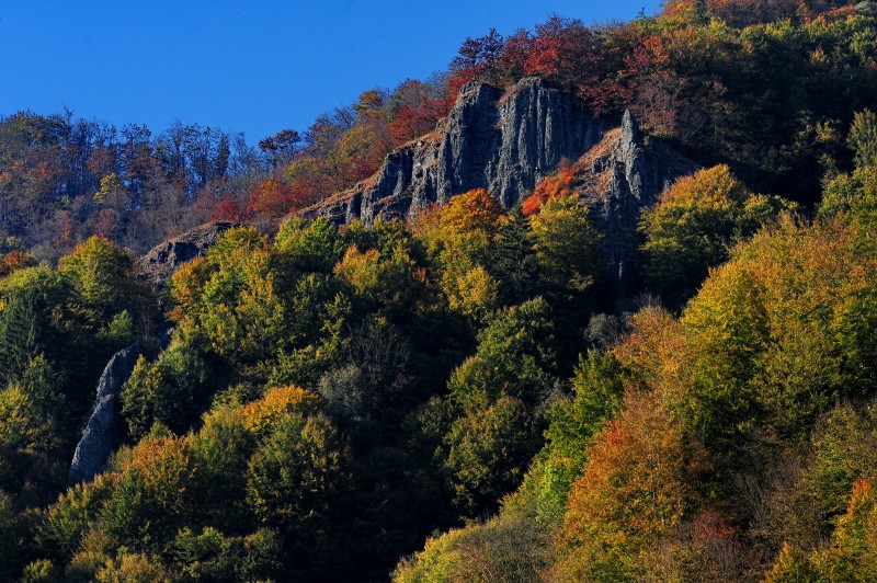 Despăgubiri pentru proprietarii de terenuri din Parcul natural Defileul Mureșului