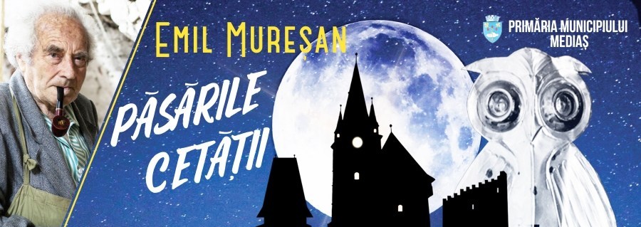 Tablouri din pânză de păianjen, la Mediaș
