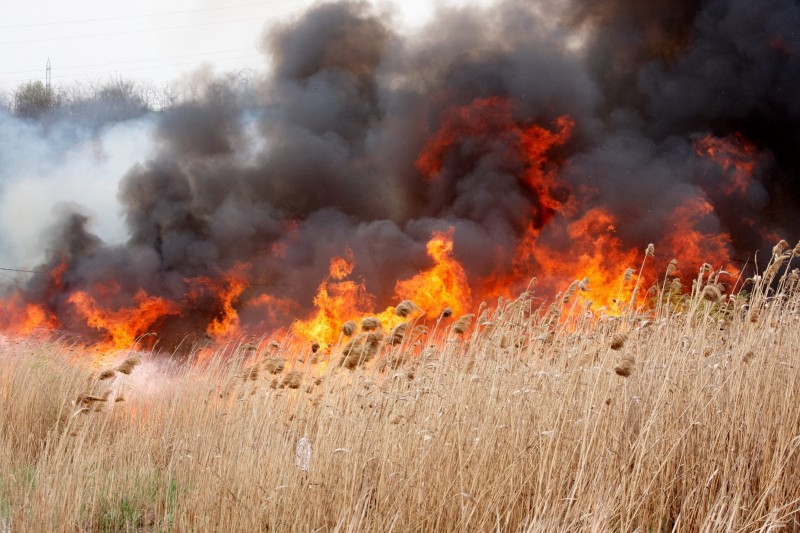 Aproximativ 100 de hectare de păşune din apropiere de Topliţa, cuprinse de flăcări Aproximativ 100 de hectare de păşune din apropiere de Topliţa, cuprinse de flăcări