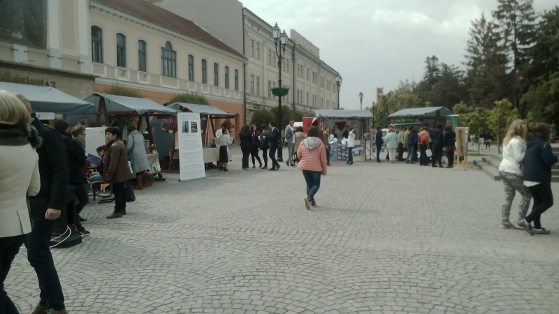 Târg educaţional cu recitaluri, dans şi prăjituri la Sfântu Gheorghe