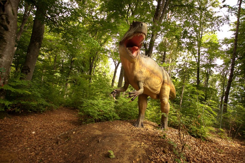 Dino Parc Râşnov a fost vizitat de 700.000 de persoane