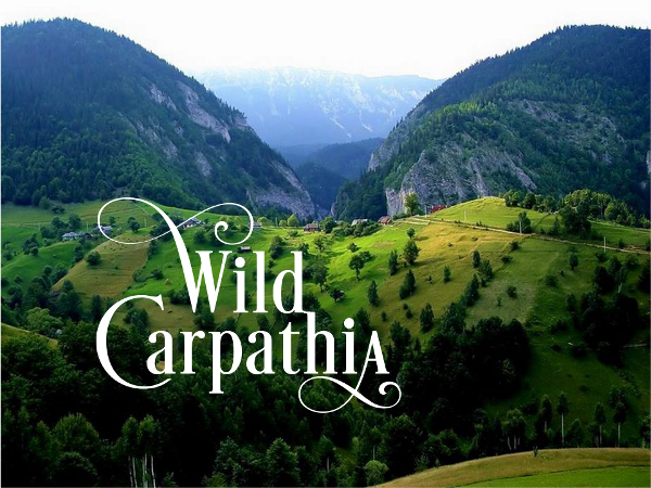 Documentarul „Wild Carpathia – Anotimpurile schimbării”, prezentat la ONU Documentarul „Wild Carpathia – Anotimpurile schimbării”, prezentat la ONU