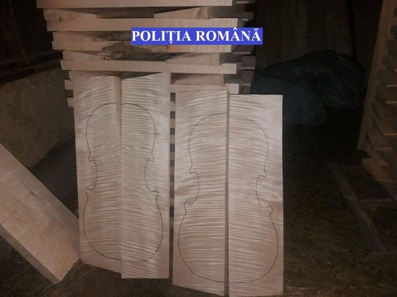Lemn pentru fabricarea instrumentelor muzicale, confiscat de polițiștii mureșeni