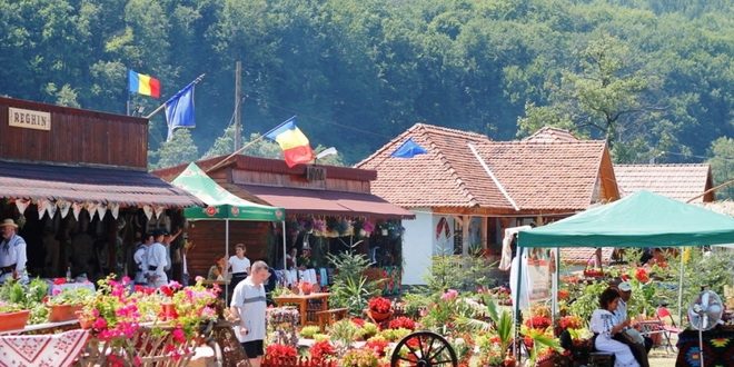 Desfășurare de forțe la Festivalul Văii Mureșului