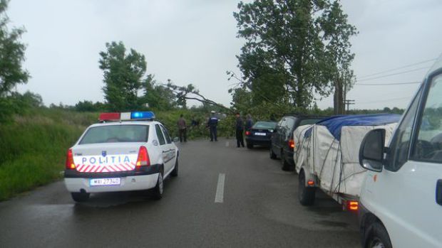 UPDATE: Trafic întrerupt în județul Harghita din cauza unor copaci căzuți pe șosea