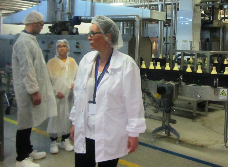 Investiții de milioane de euro la fabrica Friesland Campina România de la Tîrgu-Mureș
