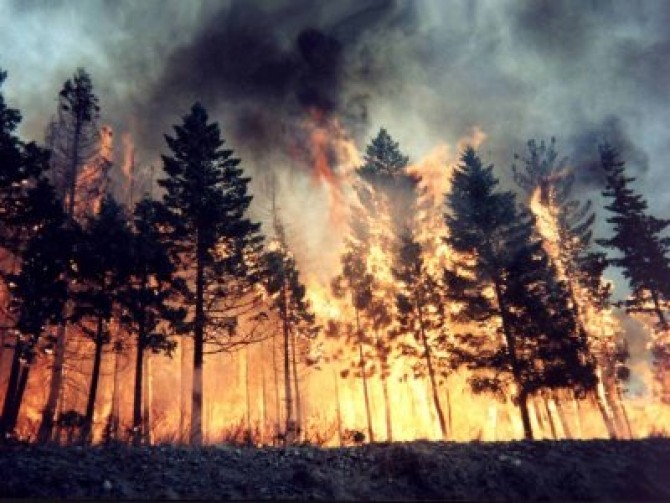 Incendiul din Parcul Naţional Domogled – Valea Cernei a fost stins