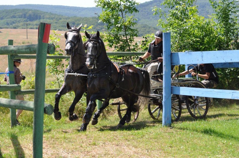 Teren pentru concursuri de atelaje cu doi cai, amenajat în Covasna