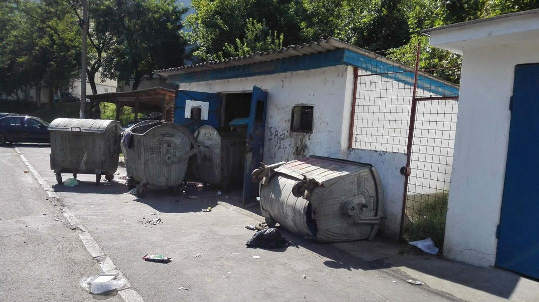 Răscolitul gunoaielor, un fenomen la Tg. Mureș