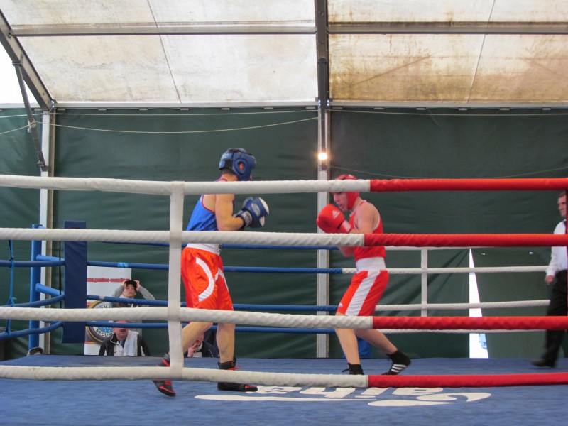 Gale de box la Tg. Mureș și Reghin Gale de box la Tg. Mureș și Reghin